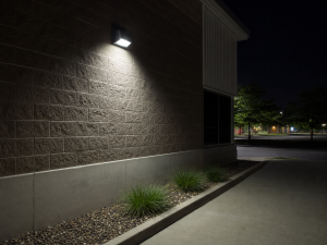 RAB WPLED3T50 LED Wall Pack